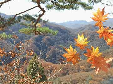 唐山路北区二手房市场实时拍摄与房产动态聚焦
