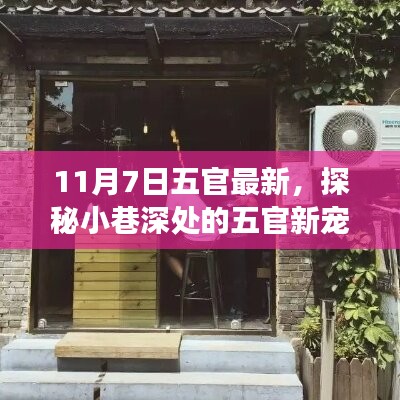 第874页